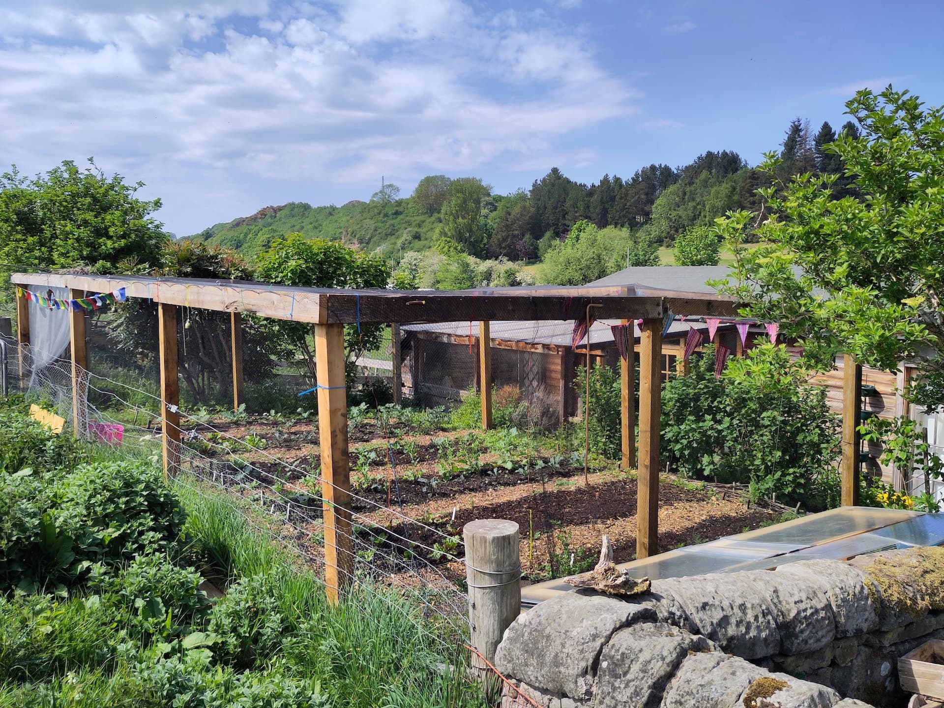 SoulSoil Market Garden