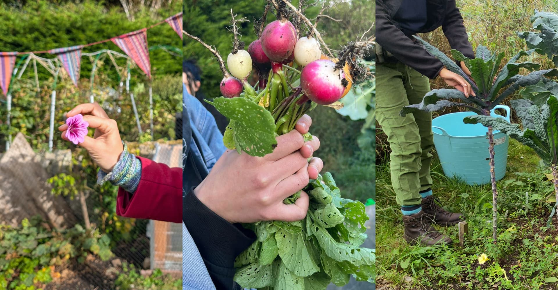 SoulSoil Market Garden