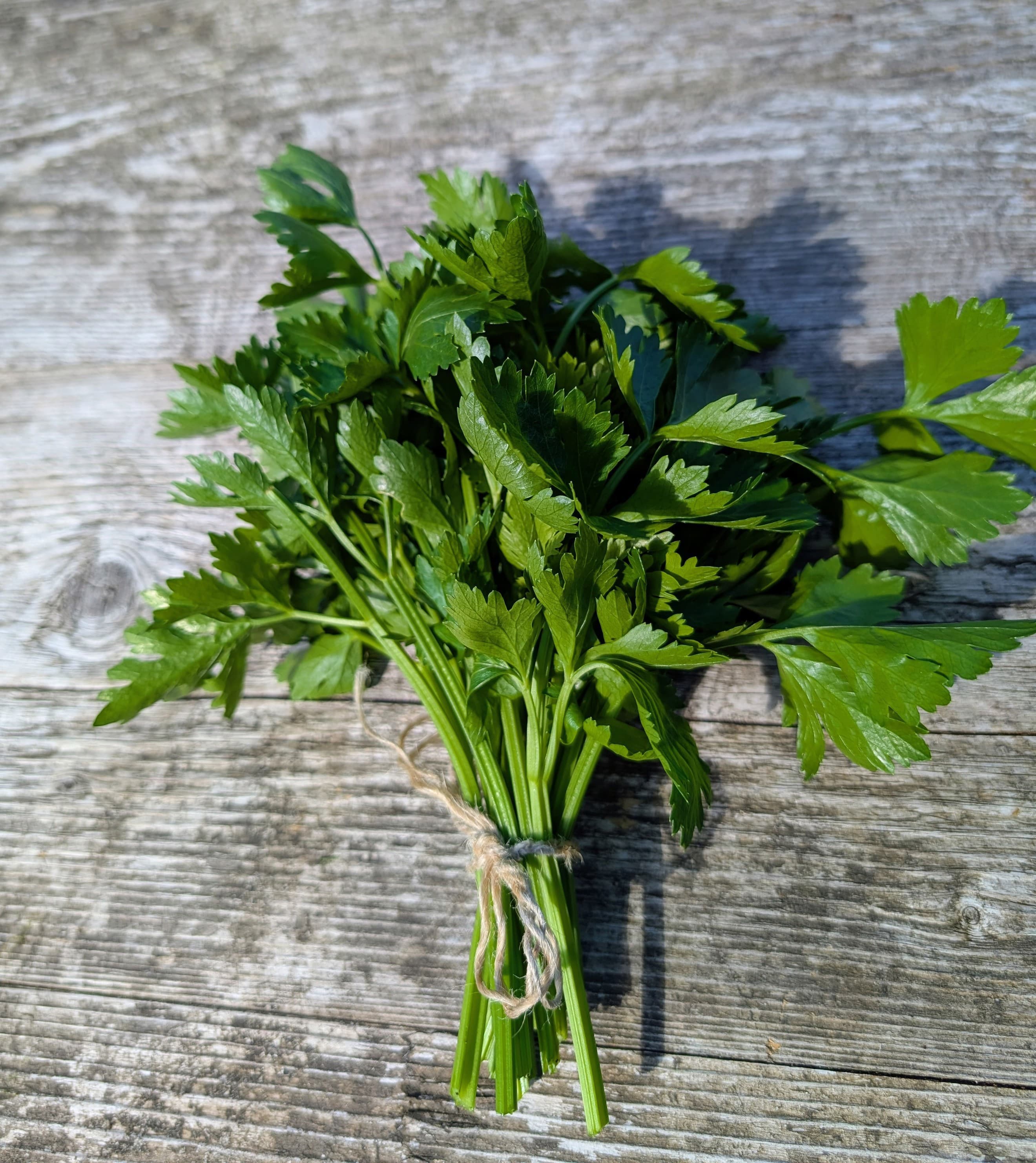Cutting Celery