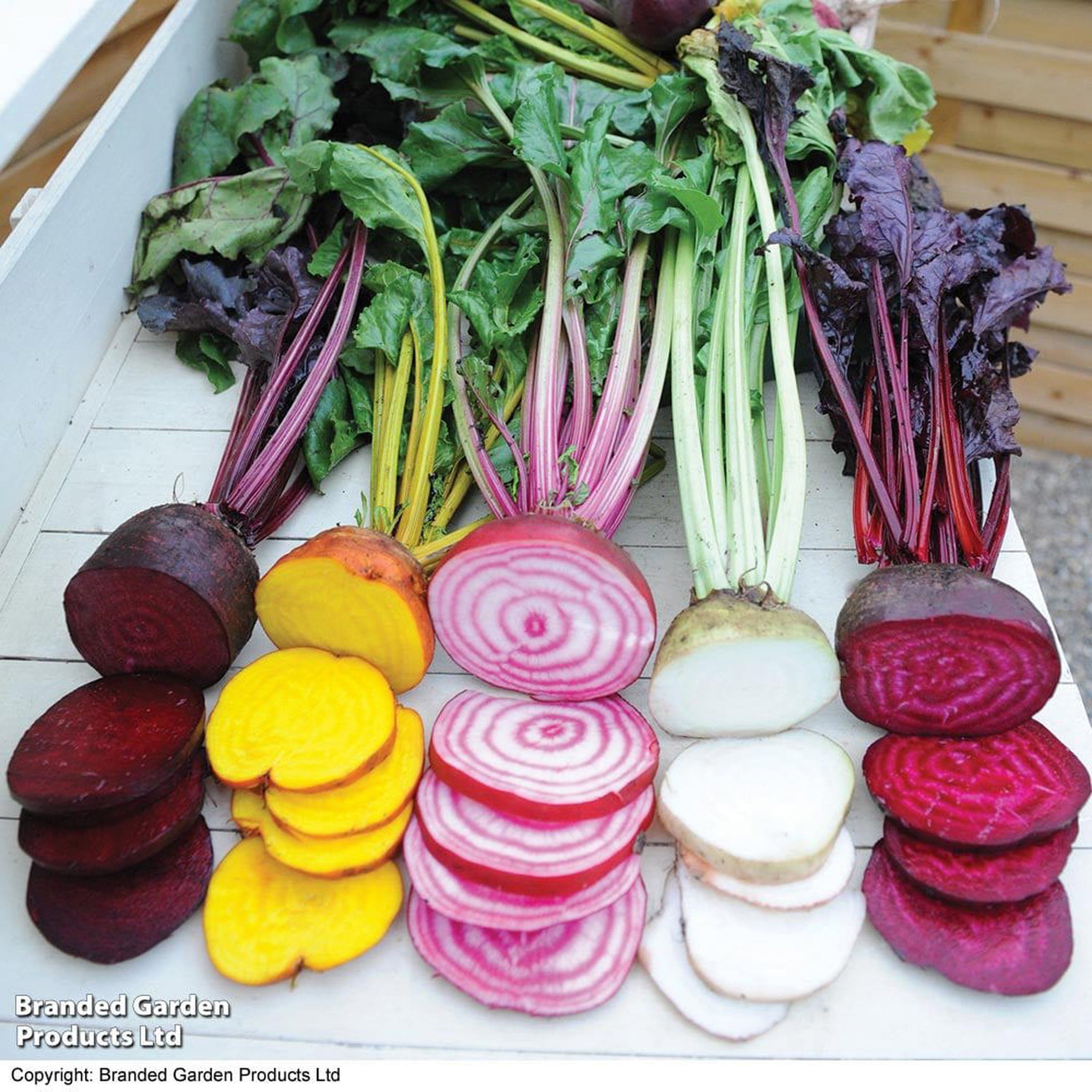 Mixed Beetroot
