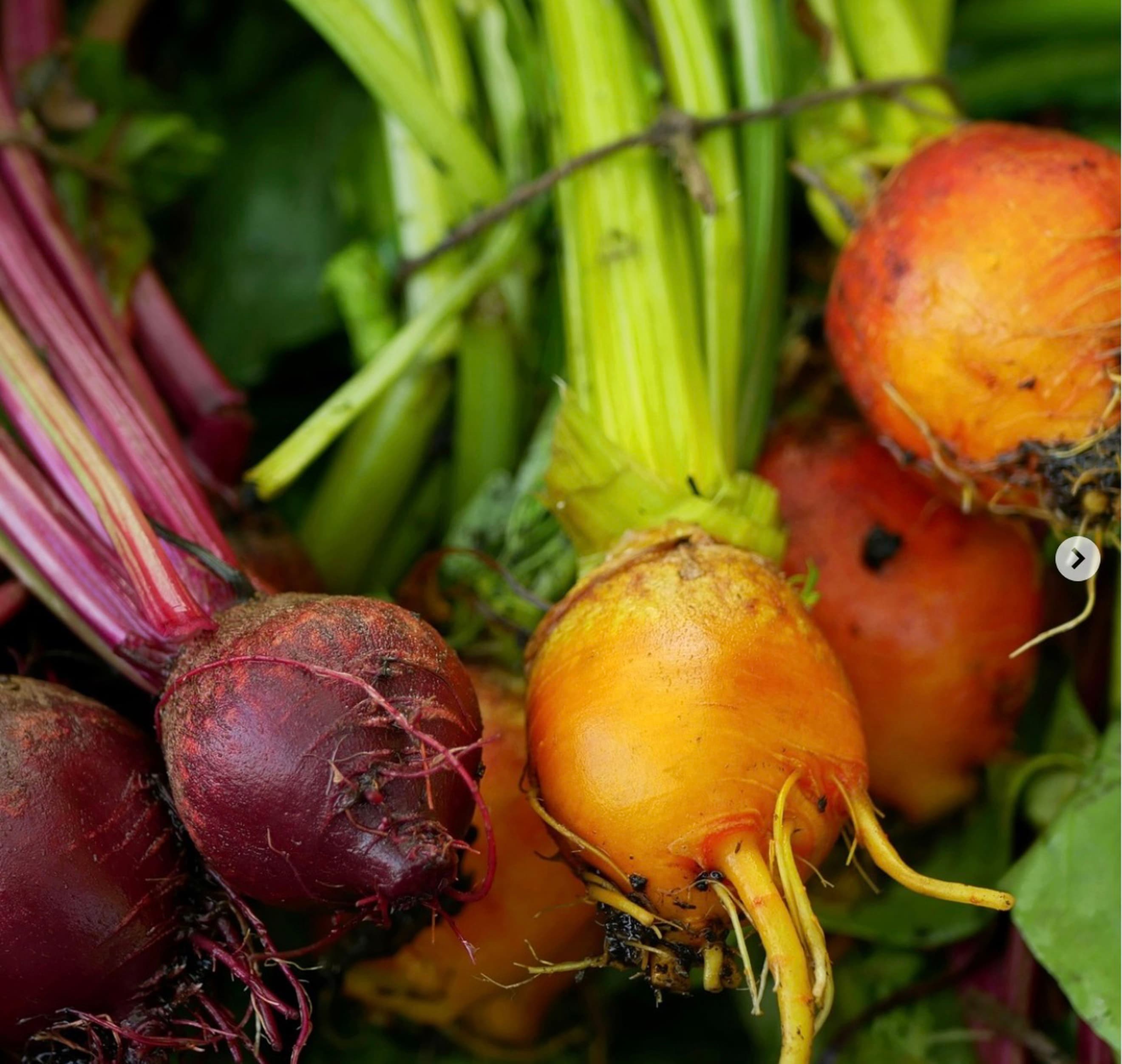 Mixed Beetroot