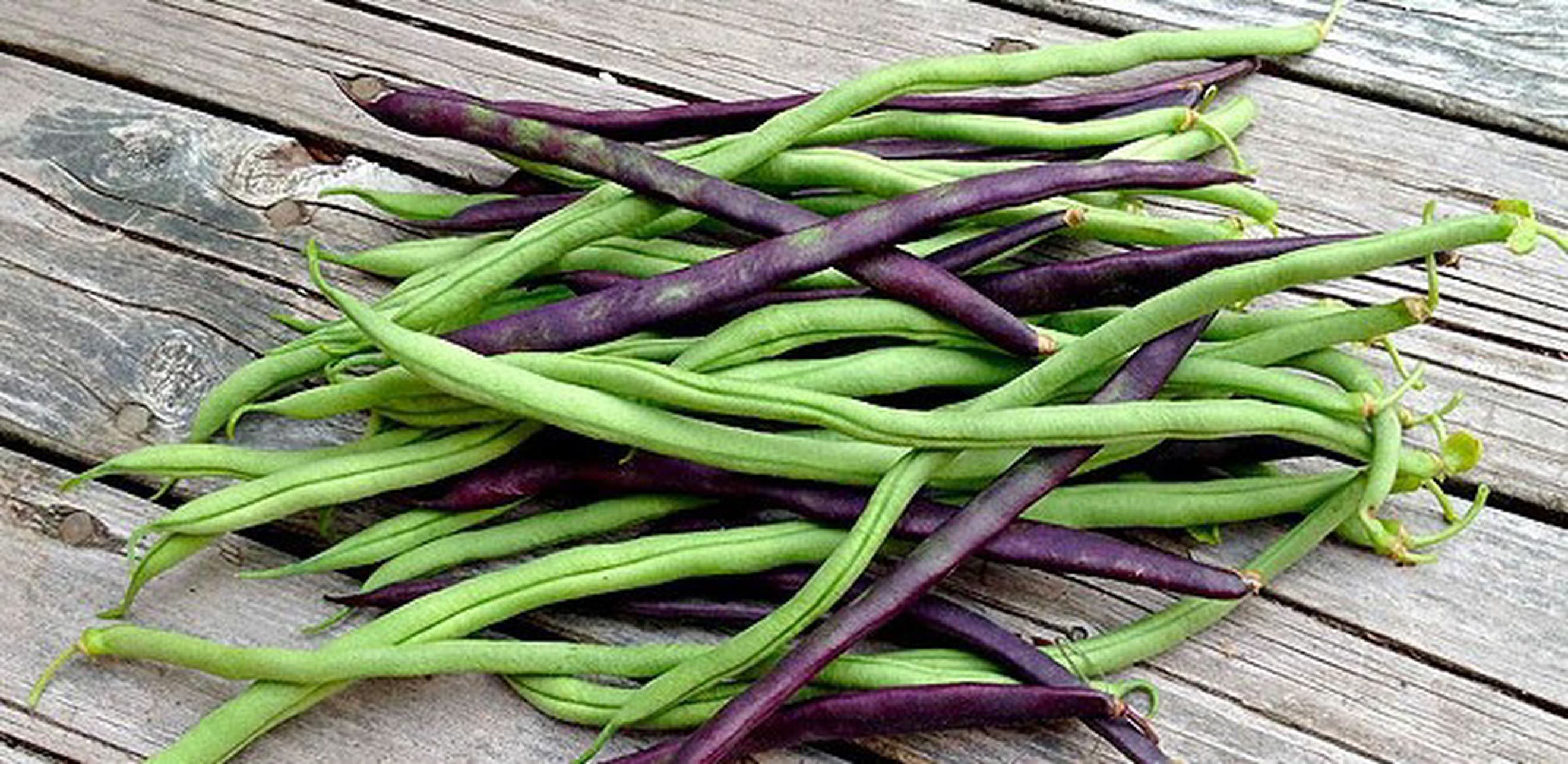 Runner beans