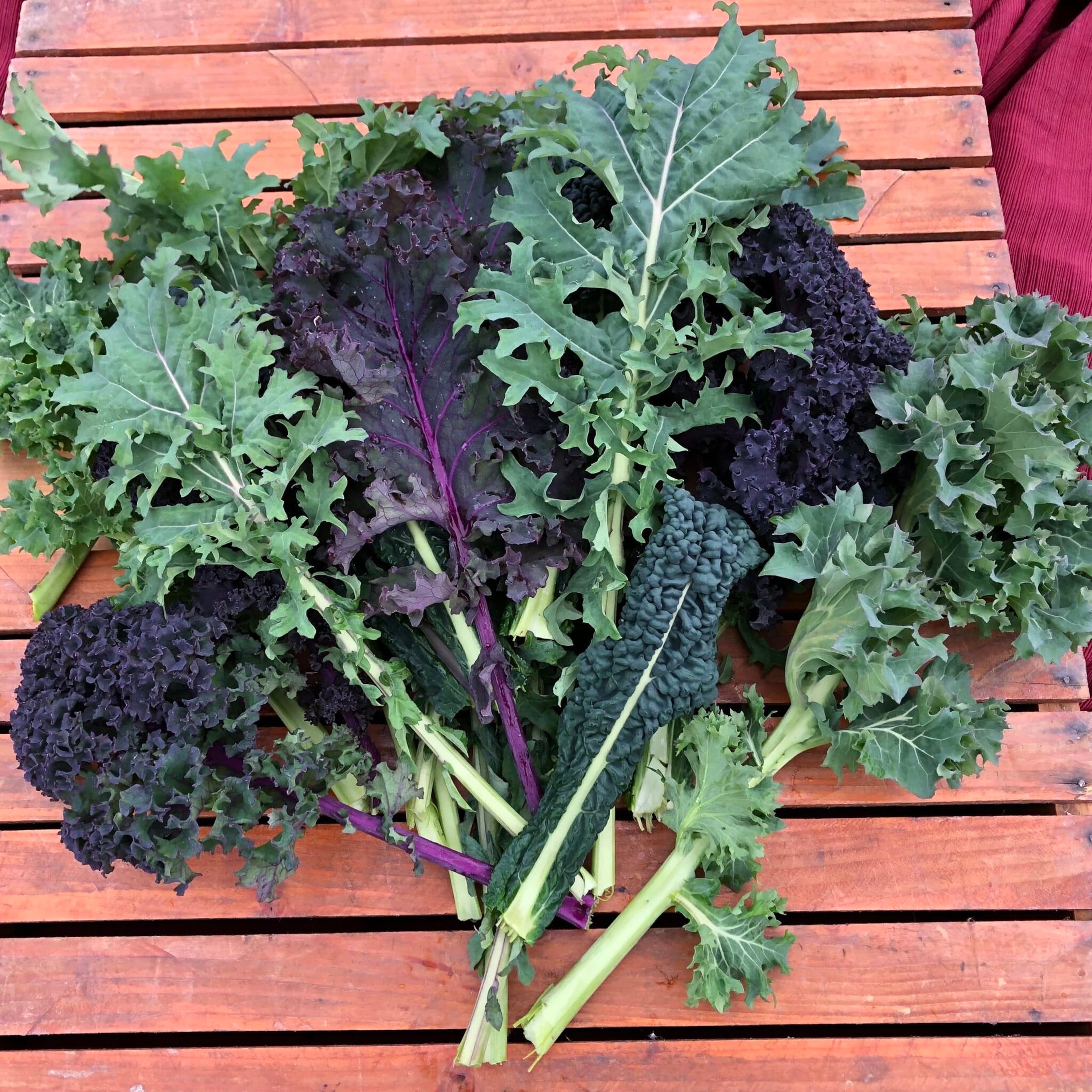 Kale