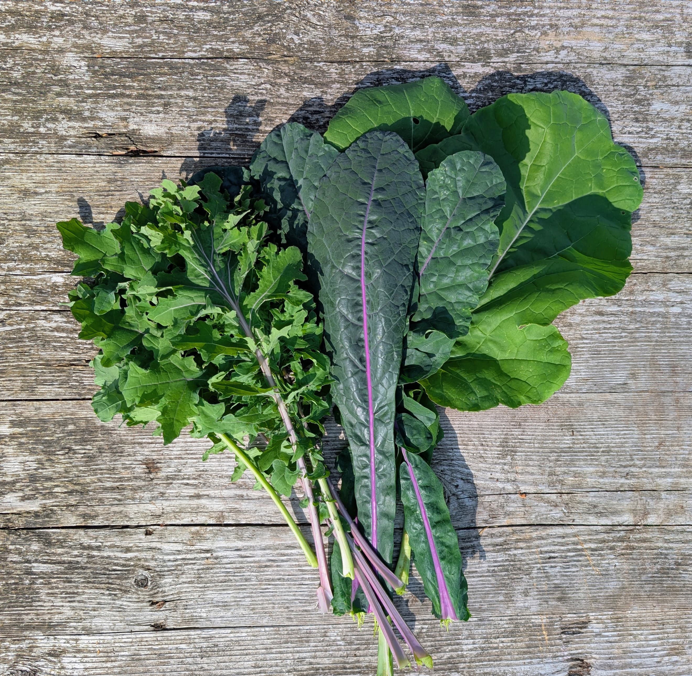 Kale