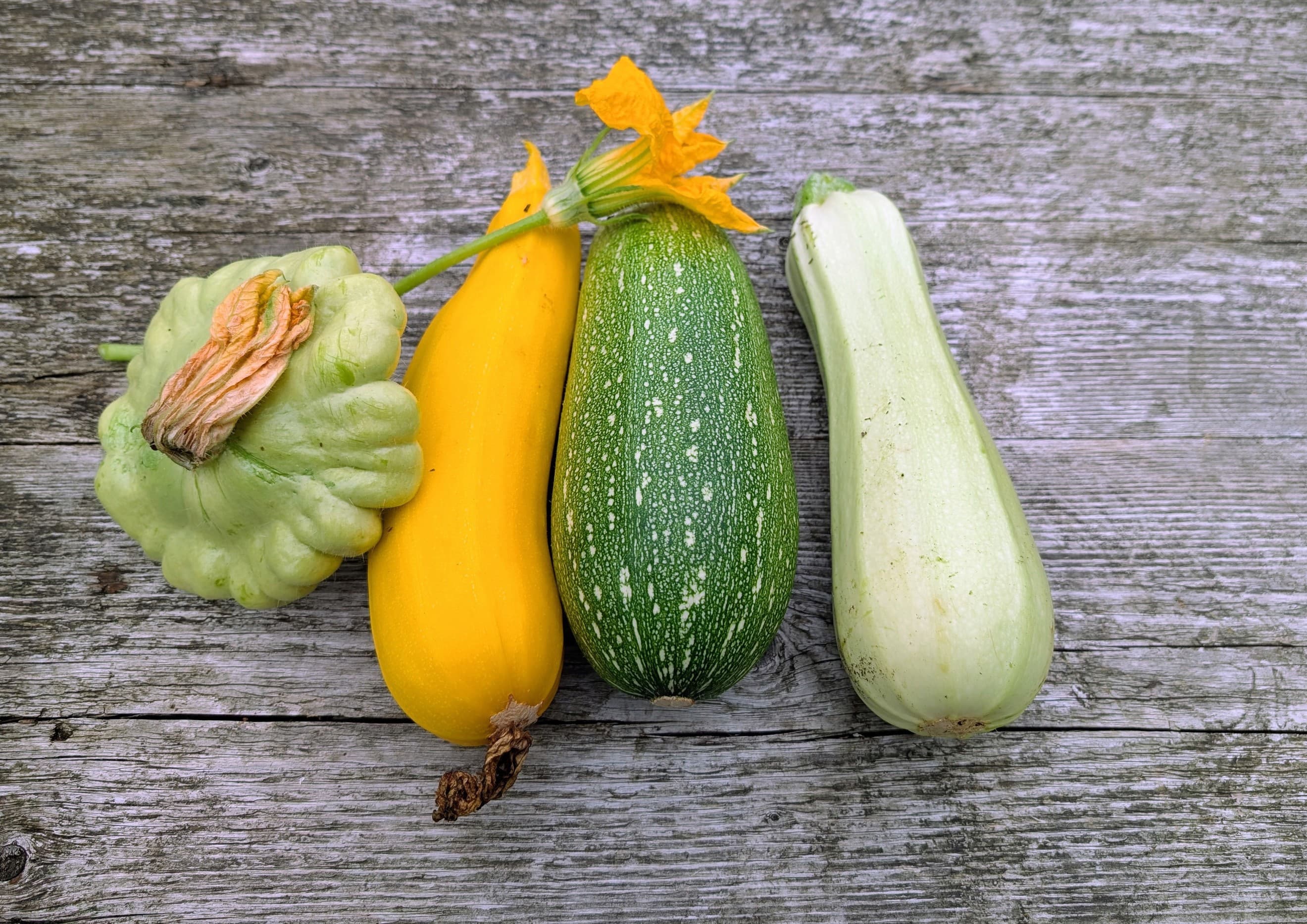Courgette