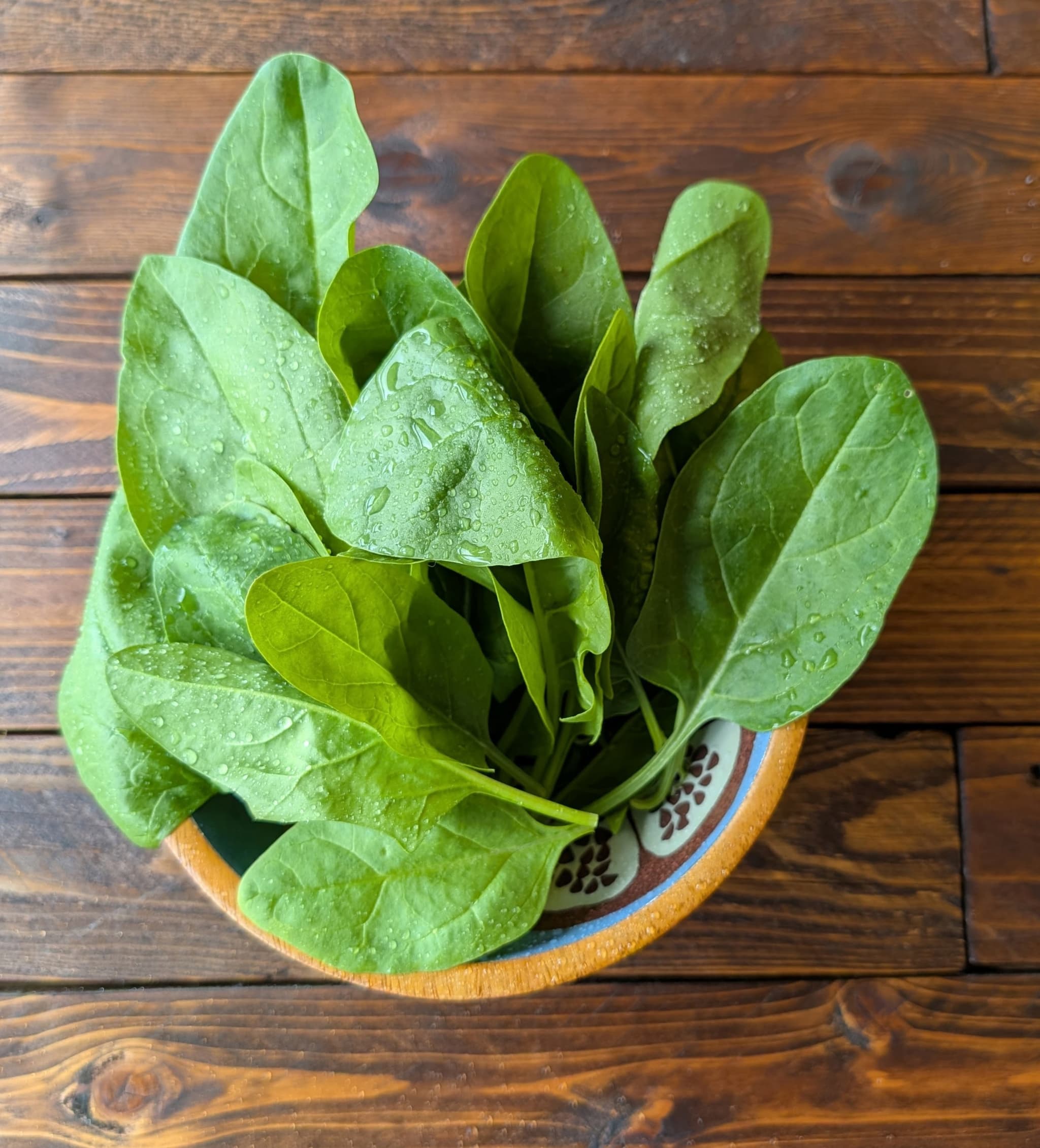 Spinach